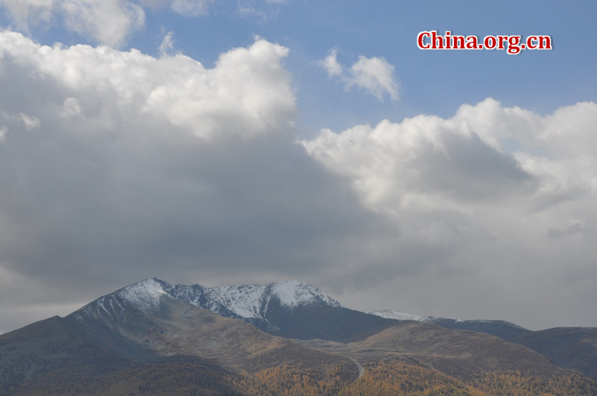 新疆喀纳斯秋季美景