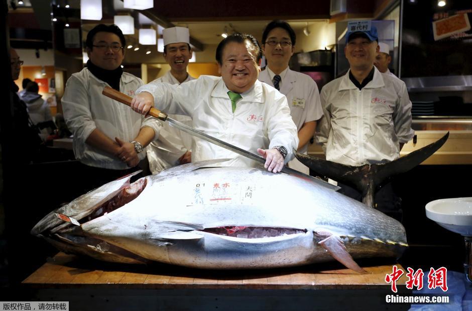 日本水产市场开市 巨型金枪鱼1400万日元成交