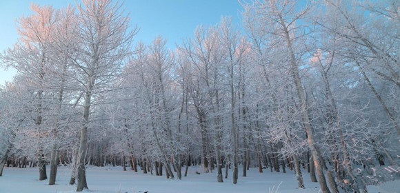 新疆阿勒泰罕见降雪后 现千里霜挂美景