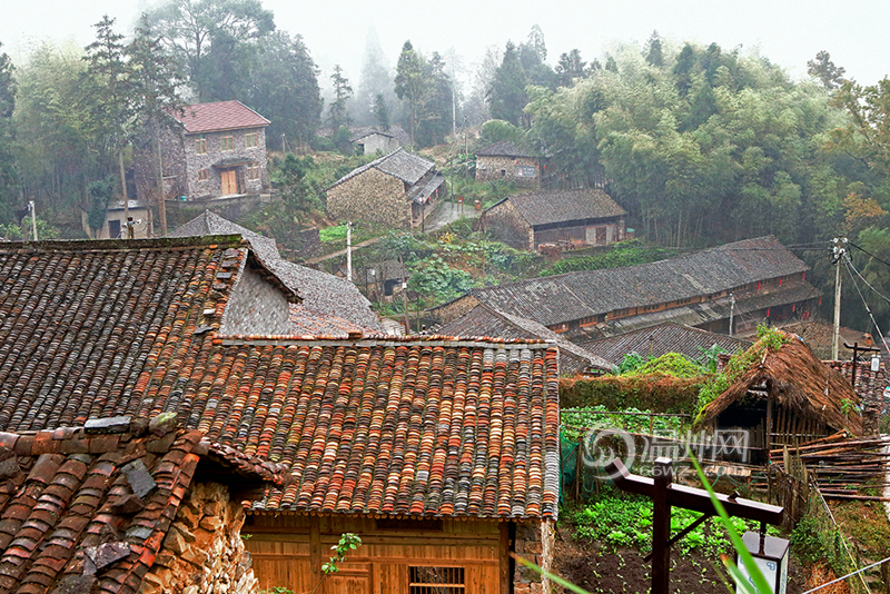 参赛作品：一个因《温州一家人》而出名的古村落――均路古村落