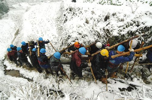 浙江电力启动防雨雪冰冻灾害预警 确保寒潮期间供电充足