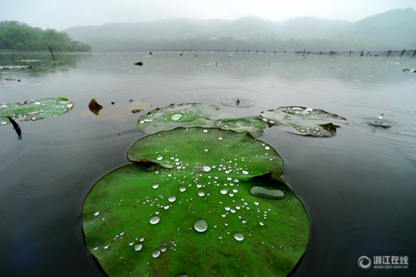 今明浙江局部仍有较强降水 后天起杭城转晴气