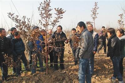 温州2012年平均收入_今年上半年温州居民收入报告出炉：人均收入突破2万(2)