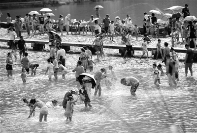 大暑温州市区迎来今年最热 动物园里的动物也