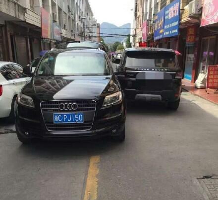 苍南街头现奥迪Q7公务车 车改未涉及县属国有企业