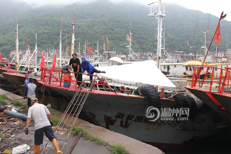 台风来袭 温州各地渔船纷纷归港避风