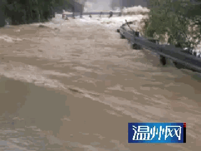 直播温州多地暴雨致水位上涨各地救援信息看这里