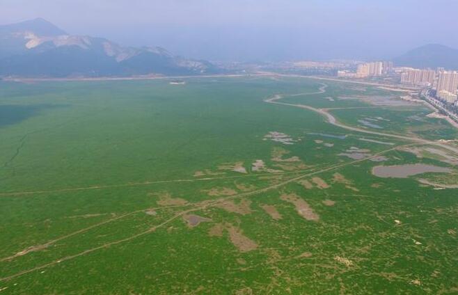 鄱阳湖水位持续走低 中国最大淡水湖变身“大草原”
