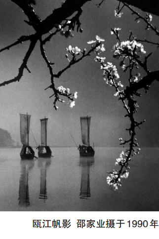 乐清违建别墅法院裁定强拆7年未执行 国土局