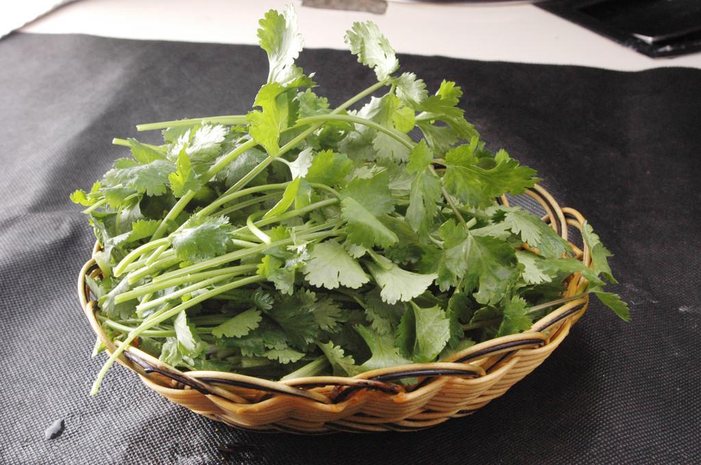 不爱吃香菜?这或许也和基因有关-新闻中心-温州网