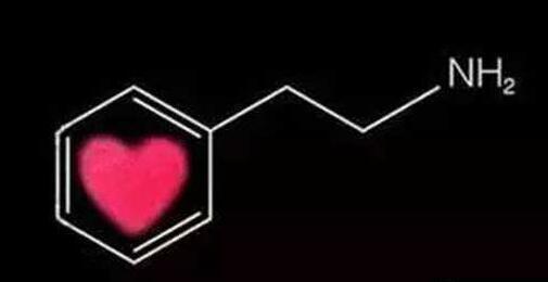 身体很诚实的告诉你:你有没有爱上TA-新闻中心-温州网