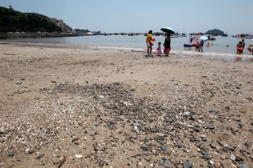 沙滩退化乱石遍布 炎亭金沙滩将投7500万元修复