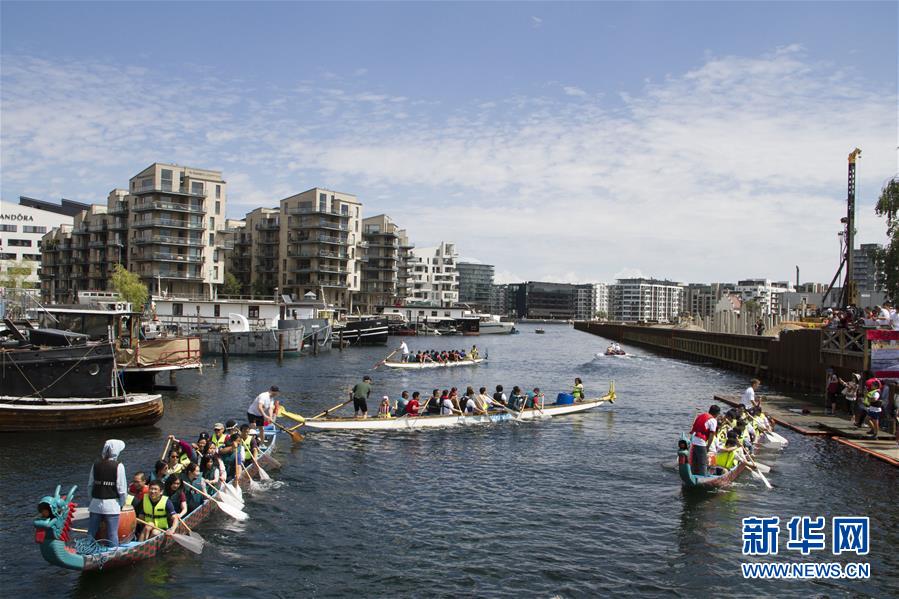首届丹中龙舟节在哥本哈根举行