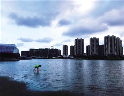 炎炎夏日,金海湖生态公园旁的人工沙滩成为市民休闲纳凉的好去处.