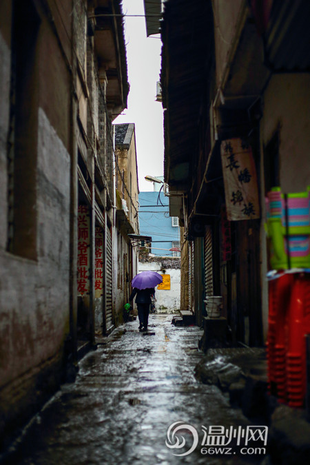 在场直播:走读寺前街 重温"永嘉场"的光辉岁月