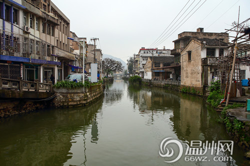 在场直播:走读寺前街 重温"永嘉场"的光辉岁月