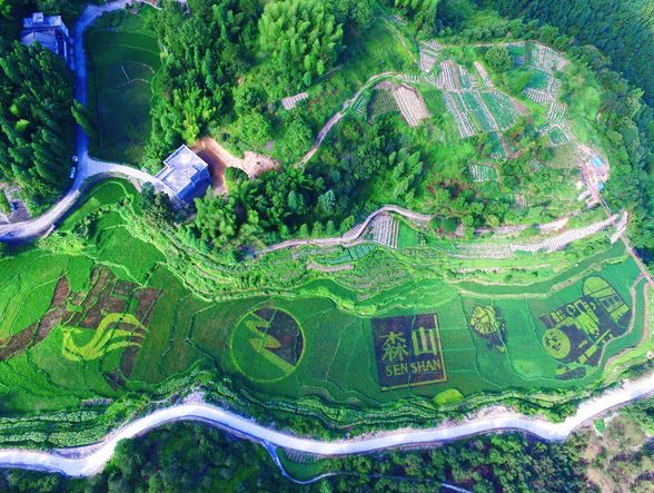 20050帧画面!温州,我们的传奇!