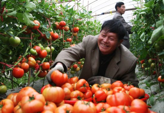 20050帧画面!温州,我们的传奇!