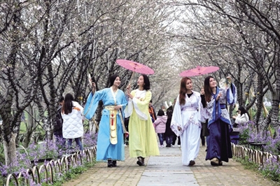 樱花花期将至 温州首场樱花马拉松参赛名额已经报满