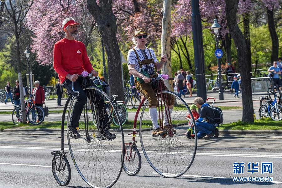 奥地利维也纳：自行车骑行嘉年华