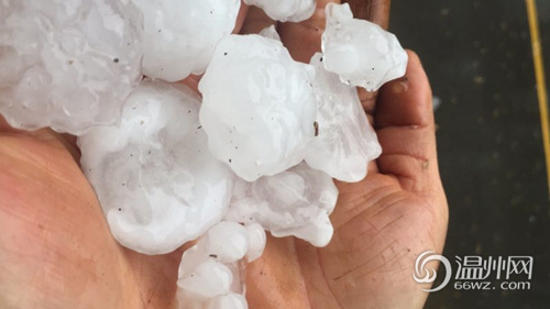 上午艳阳高照下午下起冰雹 温州市民直呼:好凉