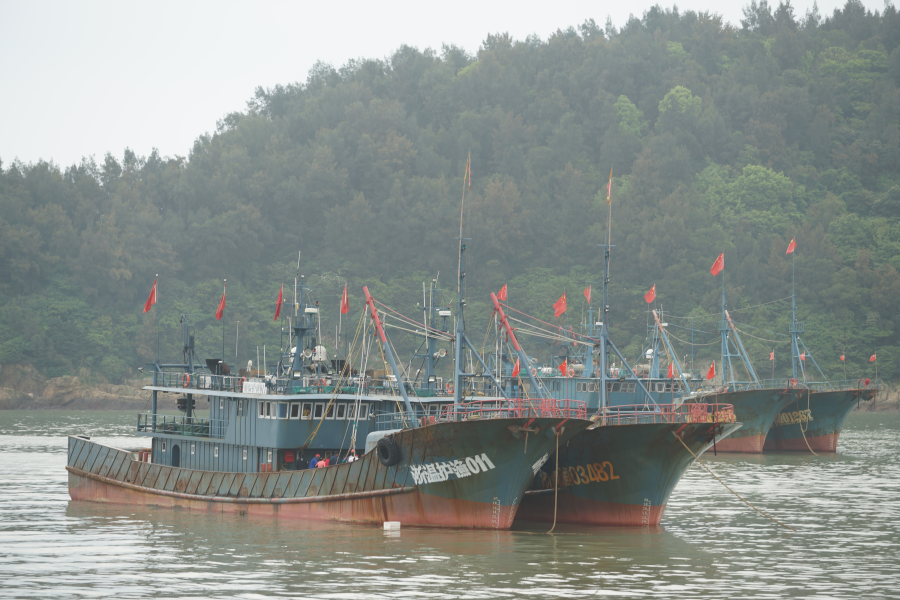 开启东海休渔模式 洞头区629艘应休渔船全部回港