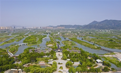 三垟湿地北广场,南仙堤,花岛花溪等景点都将被串联在一起,市民可以