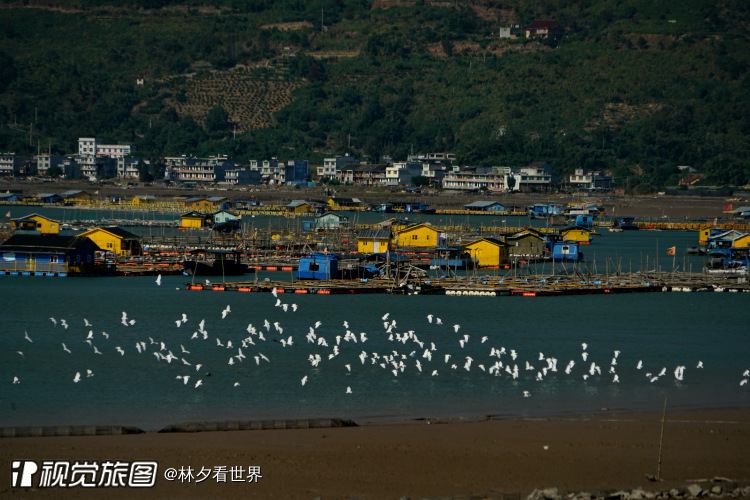 人与自然和谐共生的海边渔村沿浦界牌村 图/林夕