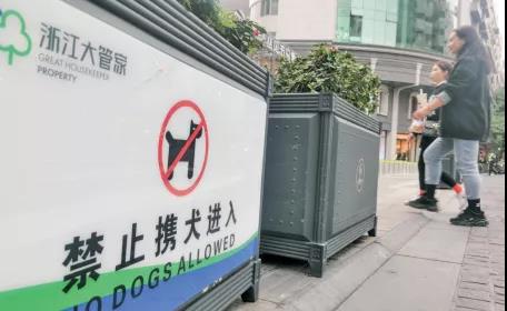 市区禅街花栏外壁贴着温馨提示牌,告知游客"禁止携犬进入".