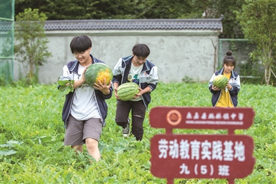 种西瓜、种油菜花、做木工、学烹饪…… 劳动教育成温州中小学“必修课”