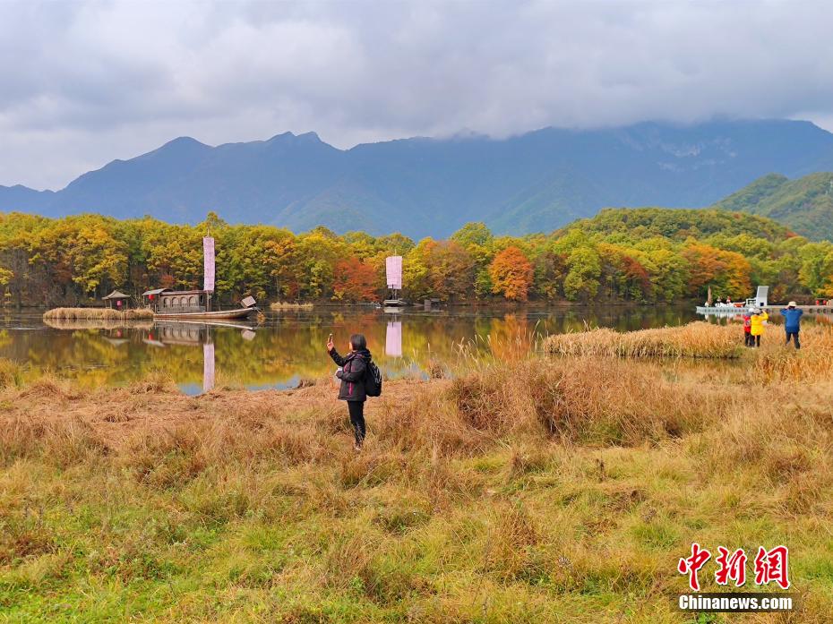 湖北神农架大九湖最美秋景上线