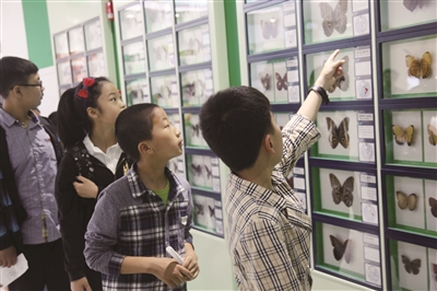 温州越来越多中小学建了校园博物馆