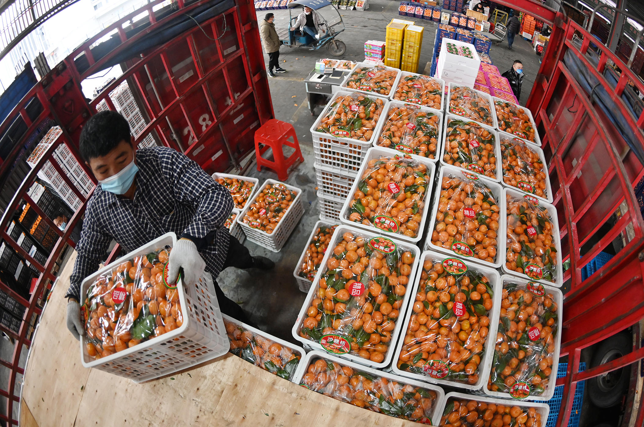 进口水果暂不入市场 记者探访温州市水果批发交易市场
