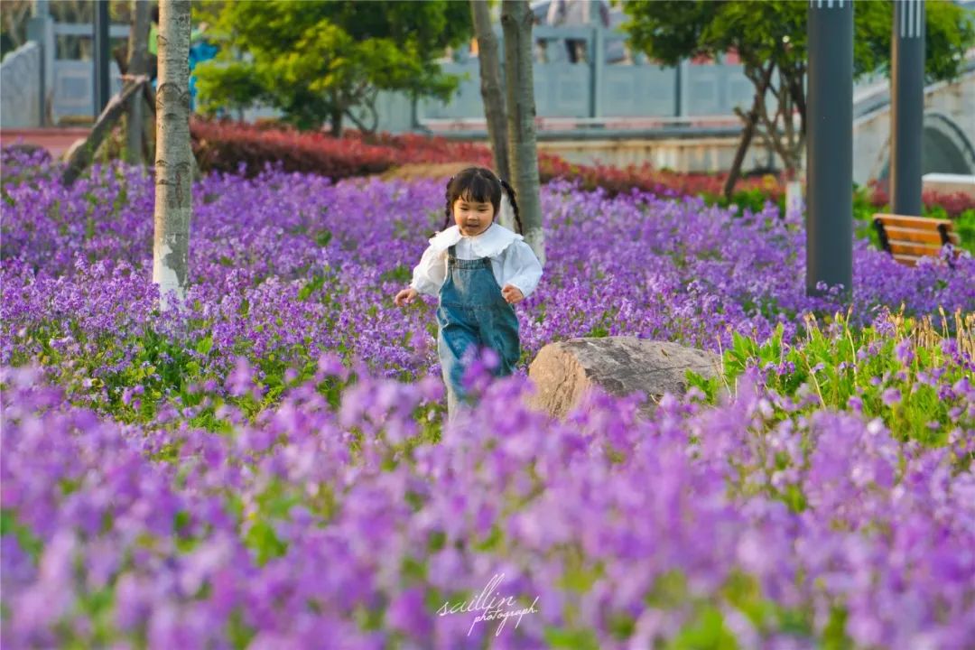 杜鵑、紫藤、繡球花……都來了！超繽紛的賞花地帶你去尋