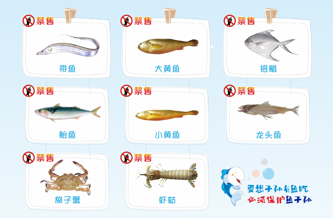 5月1日12时起，温州将全面进入海洋伏季休渔期！
