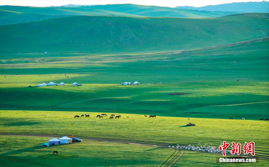 航拍内蒙古草原：生机盎然“颜值”出圈