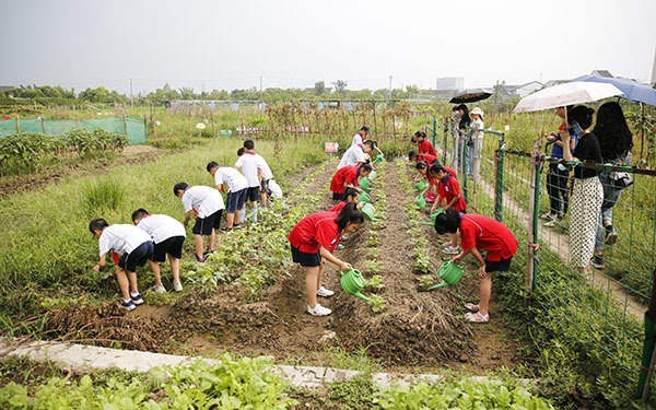 锄地、播种、施肥……“开学第一课”开启劳动实践教育