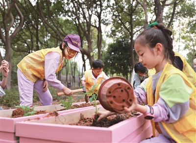 儿童园长变身“菜农” “一米菜园”中体验儿童友好