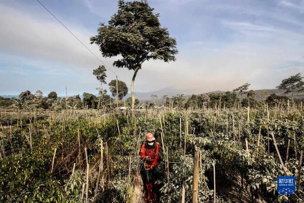 印度尼西亚：默拉皮火山持续喷发