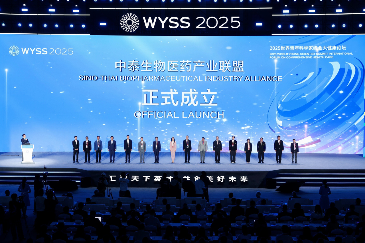 2025ƻ󽡿̳ ݡ֮ǡ½׶