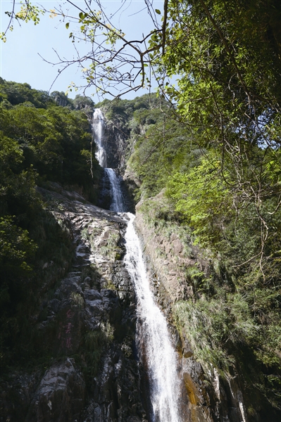平阳顺溪知音涧:森林氧吧 清新洗肺行