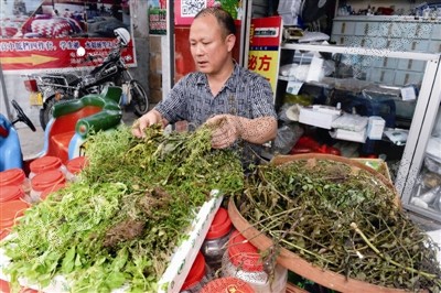 环87岁 泰顺当地赤脚医生,第6代传承人,直至70多岁,仍在用山草药给