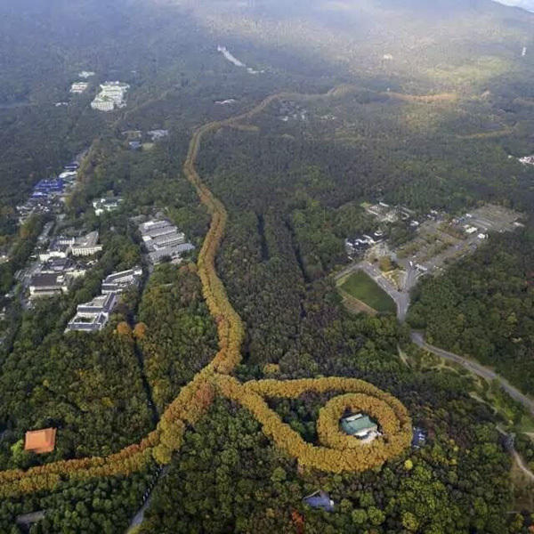 南京美龄宫现"最美项链"景观