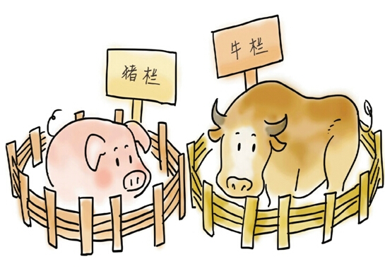 美丽经济,我的新主张