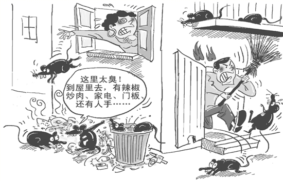 新居被占领,高楼遭"沦陷" "人鼠大战"为何屡战屡败