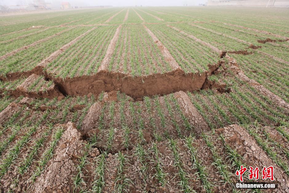 山东平邑一石膏矿坍塌致40级地震多人被埋井下