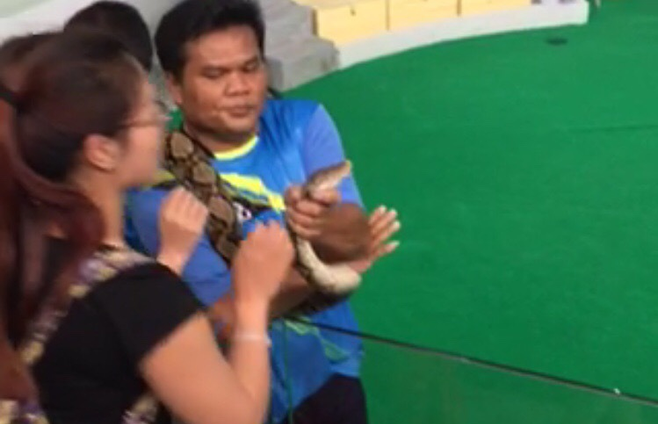 中国女游客泰国吻蛇被咬鼻子 血流满面