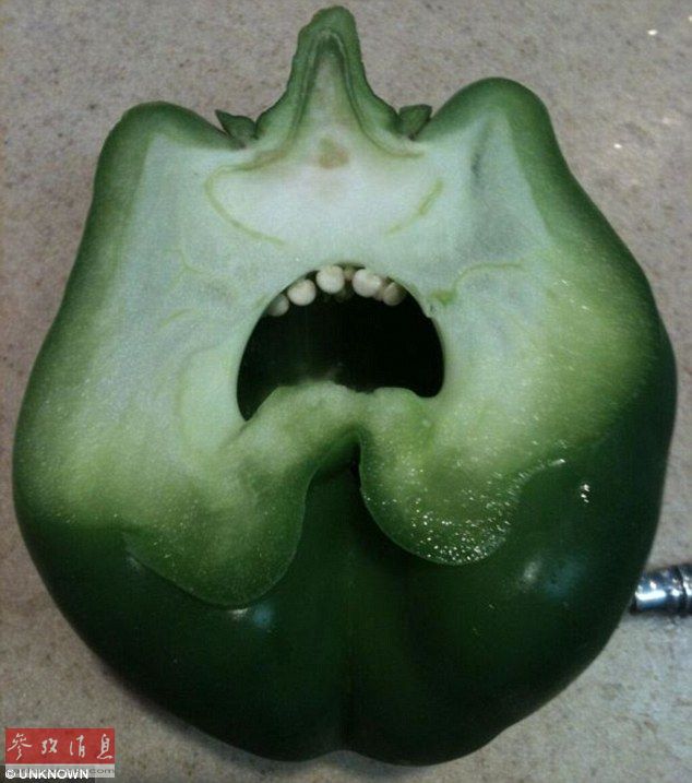 脑洞大开生活用品的邪恶表情包