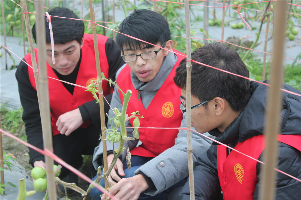 温科院新青年下乡暖冬行动进行时