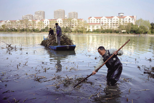 元一柏庄生活污水外排 杭州塘大运河水域水体发黑发臭-新闻中心-温州
